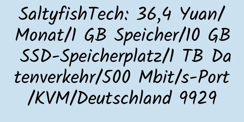 SaltyfishTech: 36,4 Yuan/Monat/1 GB Speicher/10 GB SSD-Speicherplatz/1 TB Datenverkehr/500 Mbit/s-Port/KVM/Deutschland 9929