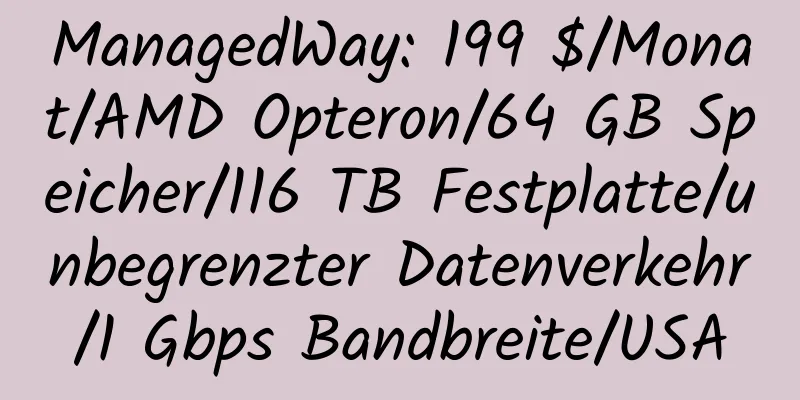 ManagedWay: 199 $/Monat/AMD Opteron/64 GB Speicher/116 TB Festplatte/unbegrenzter Datenverkehr/1 Gbps Bandbreite/USA