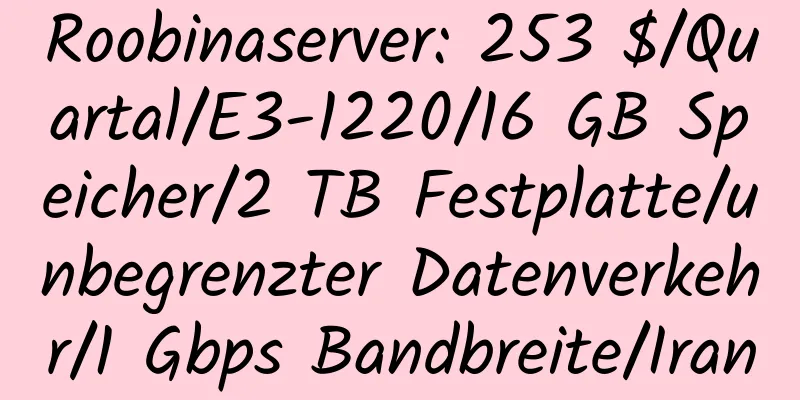 Roobinaserver: 253 $/Quartal/E3-1220/16 GB Speicher/2 TB Festplatte/unbegrenzter Datenverkehr/1 Gbps Bandbreite/Iran