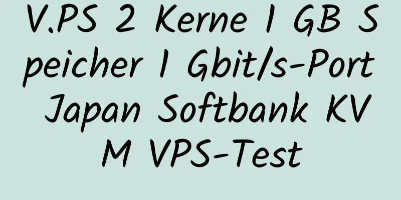 V.PS 2 Kerne 1 GB Speicher 1 Gbit/s-Port Japan Softbank KVM VPS-Test