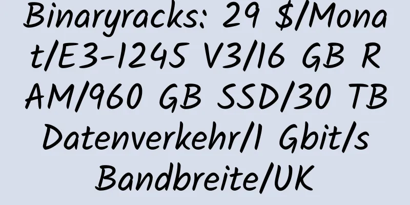 Binaryracks: 29 $/Monat/E3-1245 V3/16 GB RAM/960 GB SSD/30 TB Datenverkehr/1 Gbit/s Bandbreite/UK