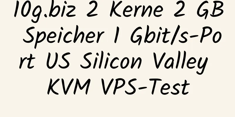 10g.biz 2 Kerne 2 GB Speicher 1 Gbit/s-Port US Silicon Valley KVM VPS-Test