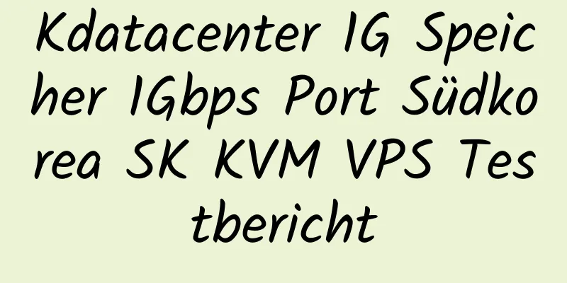 Kdatacenter 1G Speicher 1Gbps Port Südkorea SK KVM VPS Testbericht