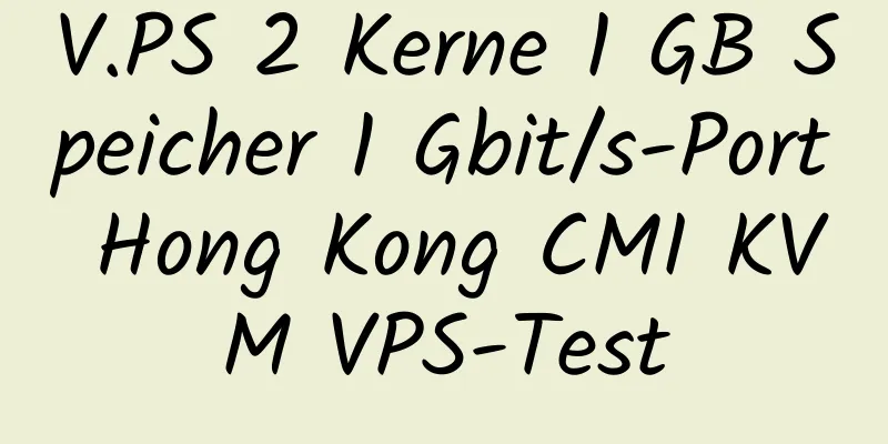 V.PS 2 Kerne 1 GB Speicher 1 Gbit/s-Port Hong Kong CMI KVM VPS-Test