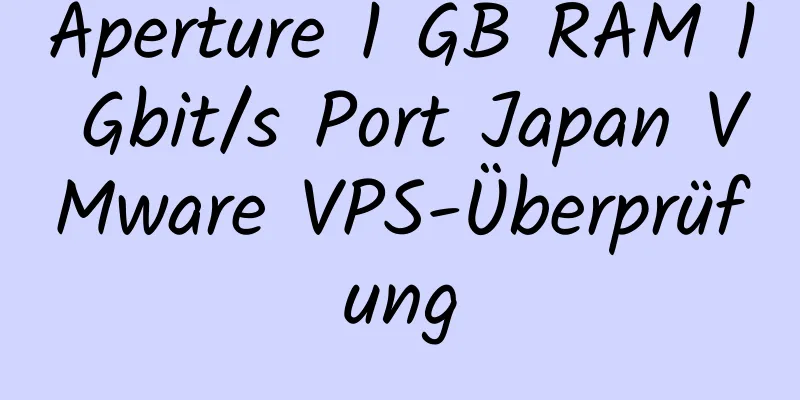 Aperture 1 GB RAM 1 Gbit/s Port Japan VMware VPS-Überprüfung