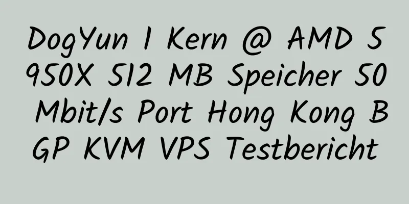 DogYun 1 Kern @ AMD 5950X 512 MB Speicher 50 Mbit/s Port Hong Kong BGP KVM VPS Testbericht