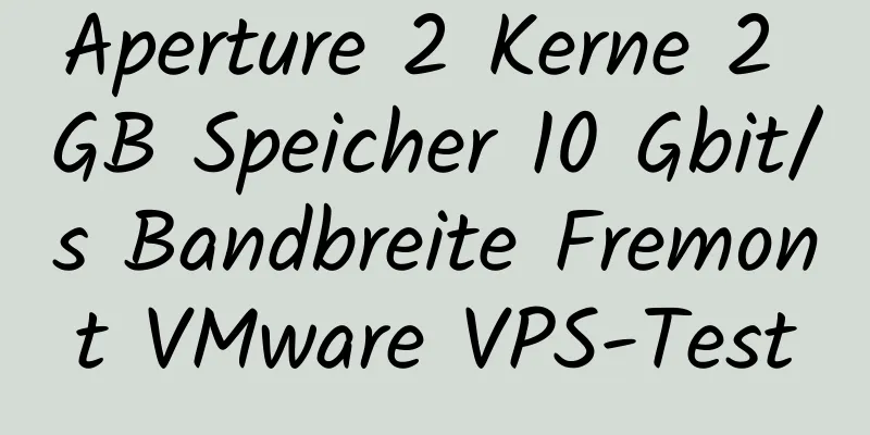 Aperture 2 Kerne 2 GB Speicher 10 Gbit/s Bandbreite Fremont VMware VPS-Test