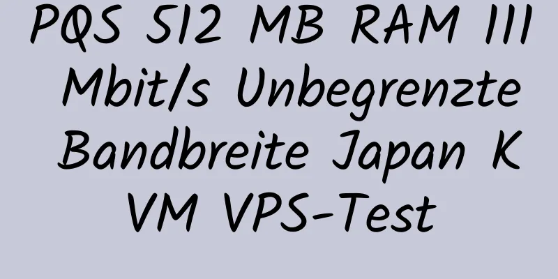 PQS 512 MB RAM 111 Mbit/s Unbegrenzte Bandbreite Japan KVM VPS-Test