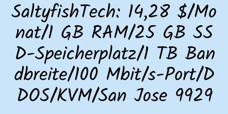 SaltyfishTech: 14,28 $/Monat/1 GB RAM/25 GB SSD-Speicherplatz/1 TB Bandbreite/100 Mbit/s-Port/DDOS/KVM/San Jose 9929