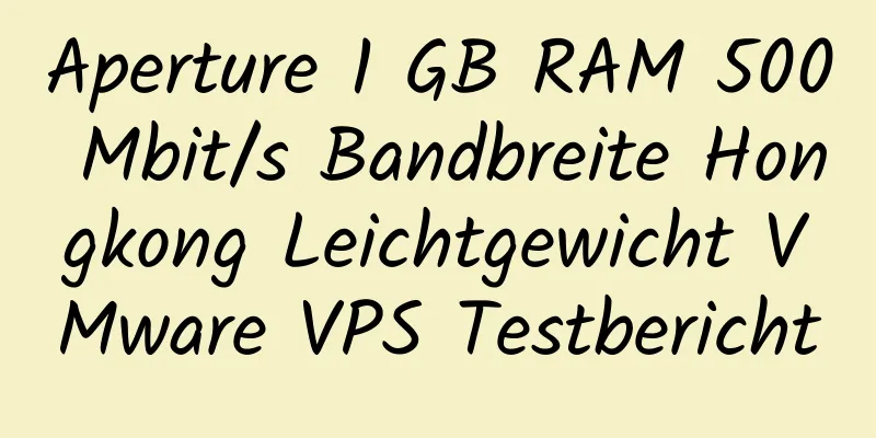 Aperture 1 GB RAM 500 Mbit/s Bandbreite Hongkong Leichtgewicht VMware VPS Testbericht