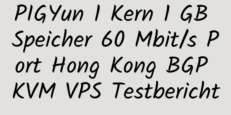 PIGYun 1 Kern 1 GB Speicher 60 Mbit/s Port Hong Kong BGP KVM VPS Testbericht