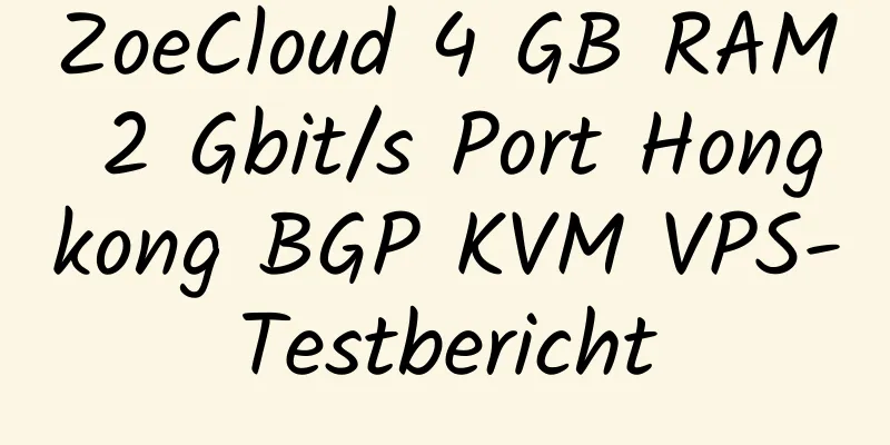 ZoeCloud 4 GB RAM 2 Gbit/s Port Hongkong BGP KVM VPS-Testbericht