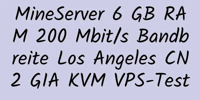 MineServer 6 GB RAM 200 Mbit/s Bandbreite Los Angeles CN2 GIA KVM VPS-Test