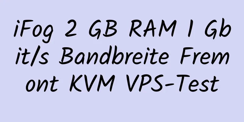 iFog 2 GB RAM 1 Gbit/s Bandbreite Fremont KVM VPS-Test