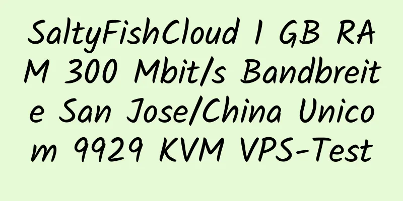 SaltyFishCloud 1 GB RAM 300 Mbit/s Bandbreite San Jose/China Unicom 9929 KVM VPS-Test