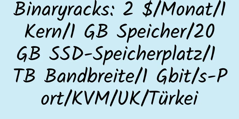 Binaryracks: 2 $/Monat/1 Kern/1 GB Speicher/20 GB SSD-Speicherplatz/1 TB Bandbreite/1 Gbit/s-Port/KVM/UK/Türkei