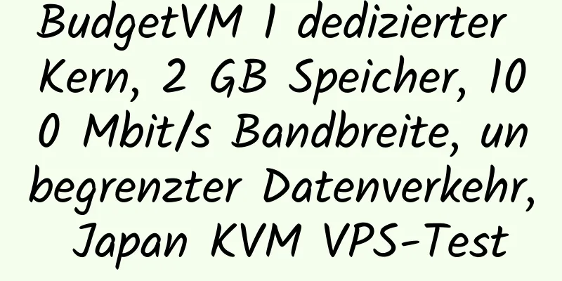 BudgetVM 1 dedizierter Kern, 2 GB Speicher, 100 Mbit/s Bandbreite, unbegrenzter Datenverkehr, Japan KVM VPS-Test