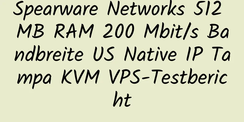 Spearware Networks 512 MB RAM 200 Mbit/s Bandbreite US Native IP Tampa KVM VPS-Testbericht