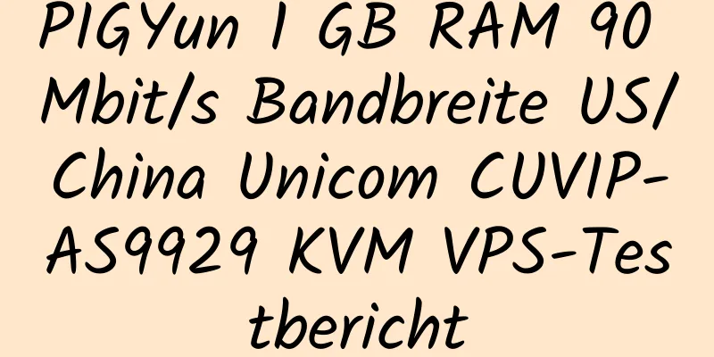 PIGYun 1 GB RAM 90 Mbit/s Bandbreite US/China Unicom CUVIP-AS9929 KVM VPS-Testbericht