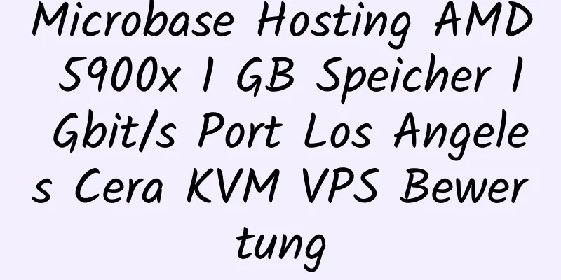 Microbase Hosting AMD 5900x 1 GB Speicher 1 Gbit/s Port Los Angeles Cera KVM VPS Bewertung