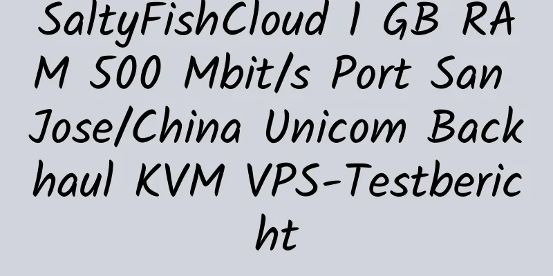 SaltyFishCloud 1 GB RAM 500 Mbit/s Port San Jose/China Unicom Backhaul KVM VPS-Testbericht