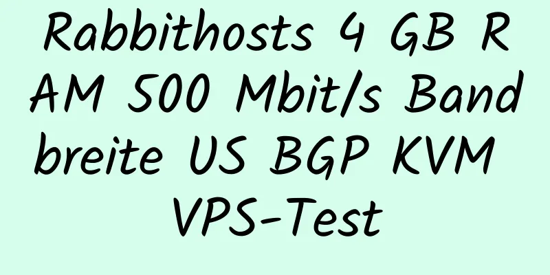 Rabbithosts 4 GB RAM 500 Mbit/s Bandbreite US BGP KVM VPS-Test