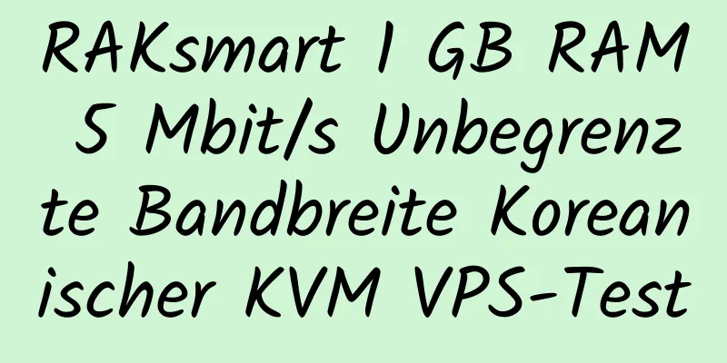 RAKsmart 1 GB RAM 5 Mbit/s Unbegrenzte Bandbreite Koreanischer KVM VPS-Test