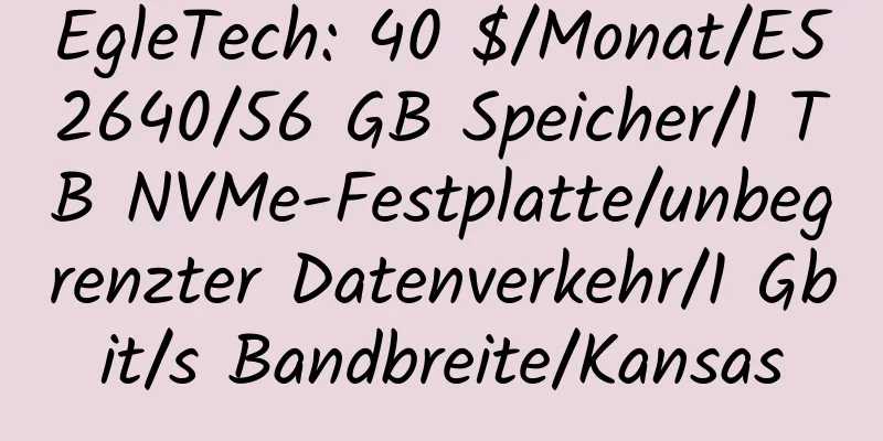 EgleTech: 40 $/Monat/E52640/56 GB Speicher/1 TB NVMe-Festplatte/unbegrenzter Datenverkehr/1 Gbit/s Bandbreite/Kansas