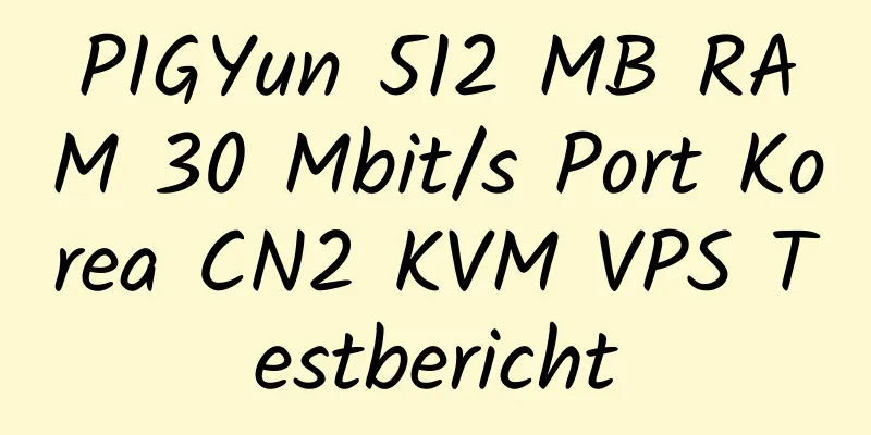 PIGYun 512 MB RAM 30 Mbit/s Port Korea CN2 KVM VPS Testbericht