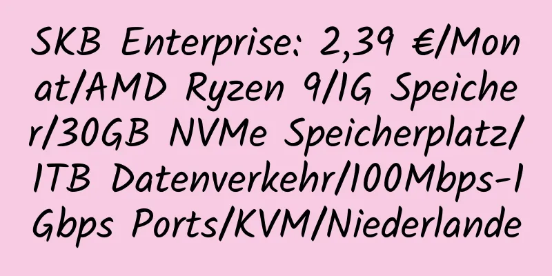 SKB Enterprise: 2,39 €/Monat/AMD Ryzen 9/1G Speicher/30GB NVMe Speicherplatz/1TB Datenverkehr/100Mbps-1Gbps Ports/KVM/Niederlande