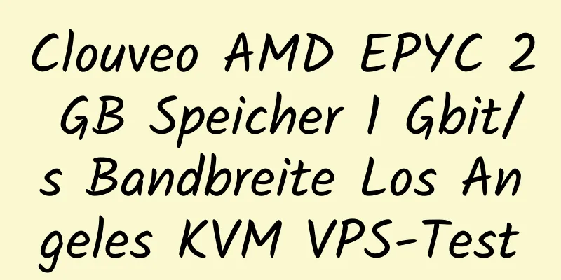 Clouveo AMD EPYC 2 GB Speicher 1 Gbit/s Bandbreite Los Angeles KVM VPS-Test