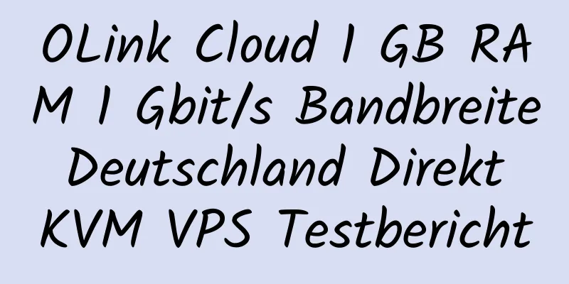 OLink Cloud 1 GB RAM 1 Gbit/s Bandbreite Deutschland Direkt KVM VPS Testbericht