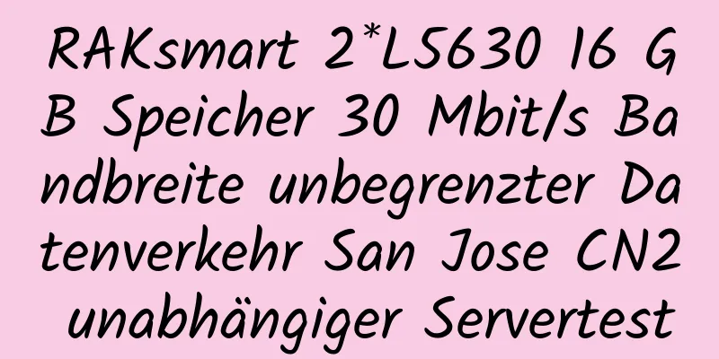 RAKsmart 2*L5630 16 GB Speicher 30 Mbit/s Bandbreite unbegrenzter Datenverkehr San Jose CN2 unabhängiger Servertest