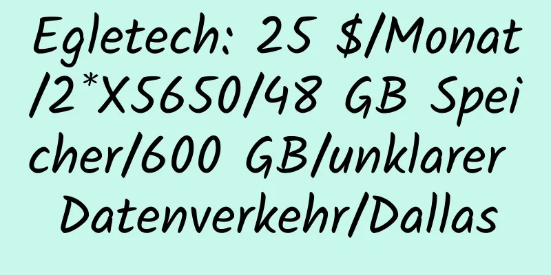 Egletech: 25 $/Monat/2*X5650/48 GB Speicher/600 GB/unklarer Datenverkehr/Dallas