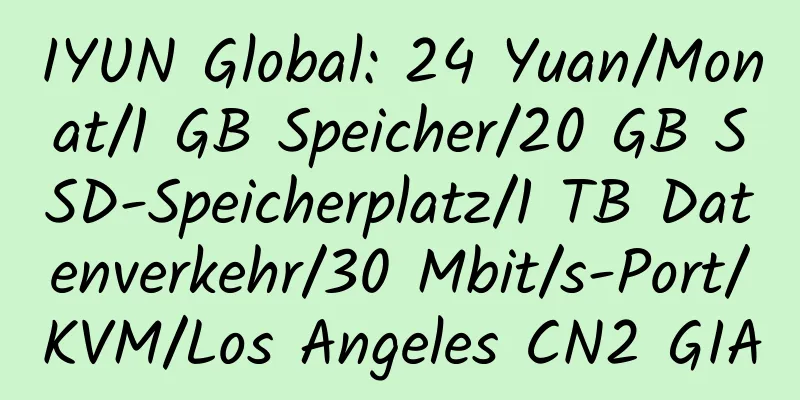 IYUN Global: 24 Yuan/Monat/1 GB Speicher/20 GB SSD-Speicherplatz/1 TB Datenverkehr/30 Mbit/s-Port/KVM/Los Angeles CN2 GIA