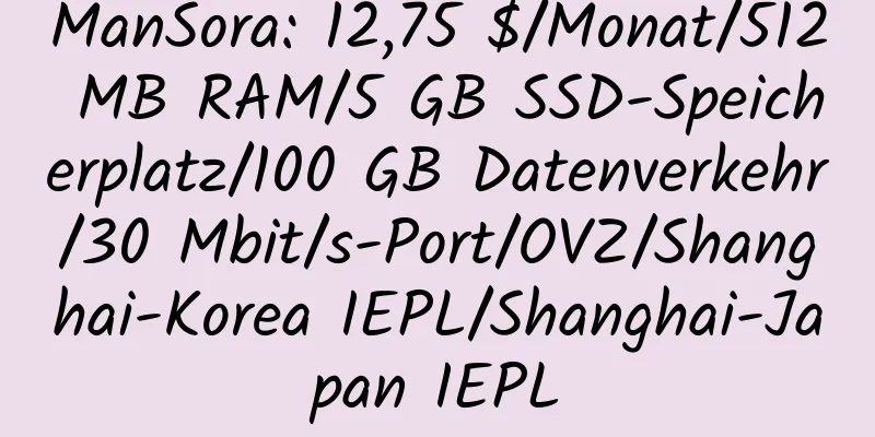 ManSora: 12,75 $/Monat/512 MB RAM/5 GB SSD-Speicherplatz/100 GB Datenverkehr/30 Mbit/s-Port/OVZ/Shanghai-Korea IEPL/Shanghai-Japan IEPL