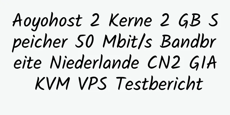 Aoyohost 2 Kerne 2 GB Speicher 50 Mbit/s Bandbreite Niederlande CN2 GIA KVM VPS Testbericht