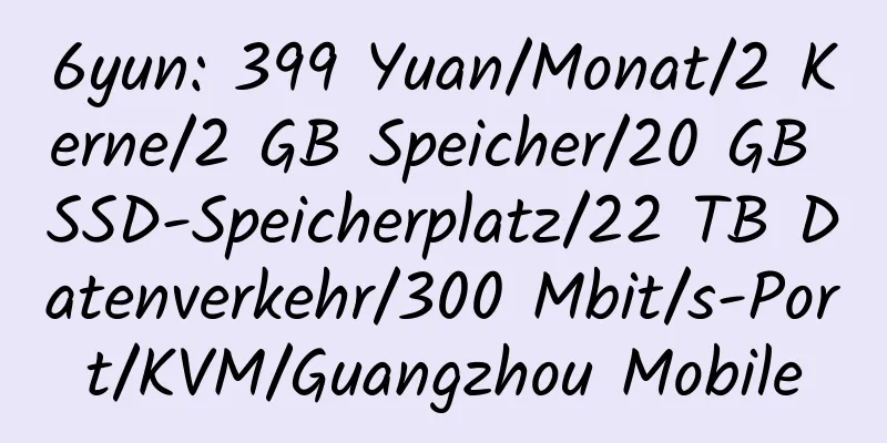 6yun: 399 Yuan/Monat/2 Kerne/2 GB Speicher/20 GB SSD-Speicherplatz/22 TB Datenverkehr/300 Mbit/s-Port/KVM/Guangzhou Mobile