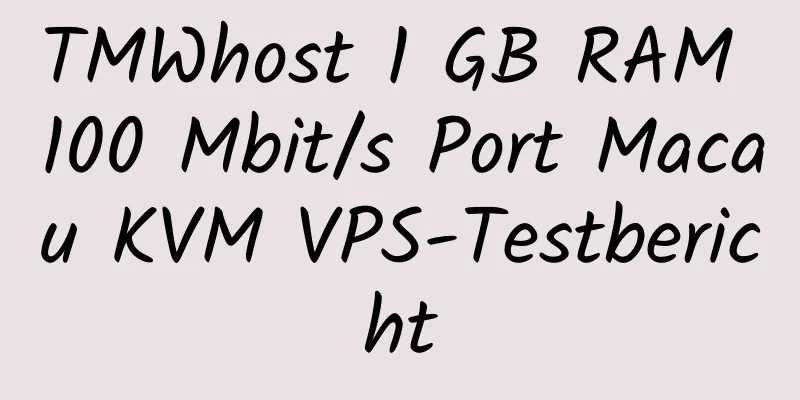 TMWhost 1 GB RAM 100 Mbit/s Port Macau KVM VPS-Testbericht