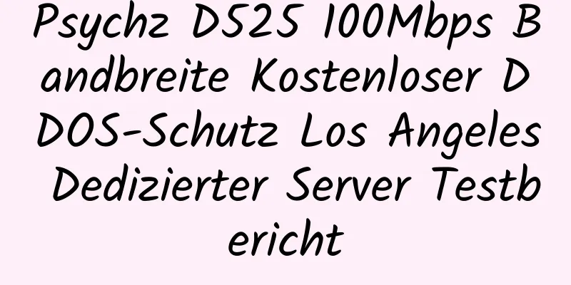 Psychz D525 100Mbps Bandbreite Kostenloser DDOS-Schutz Los Angeles Dedizierter Server Testbericht