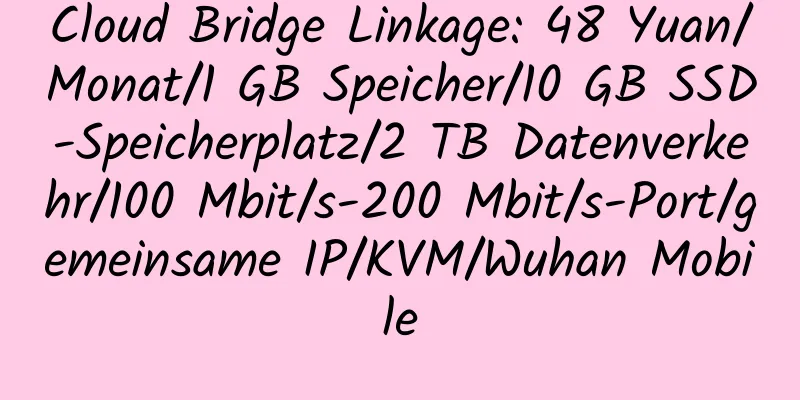 Cloud Bridge Linkage: 48 Yuan/Monat/1 GB Speicher/10 GB SSD-Speicherplatz/2 TB Datenverkehr/100 Mbit/s-200 Mbit/s-Port/gemeinsame IP/KVM/Wuhan Mobile