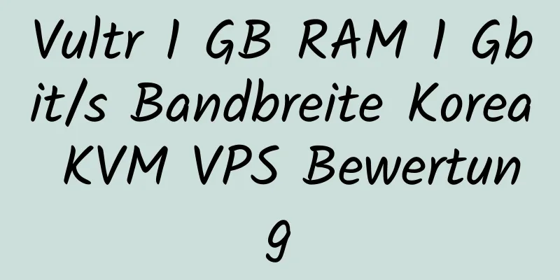 Vultr 1 GB RAM 1 Gbit/s Bandbreite Korea KVM VPS Bewertung