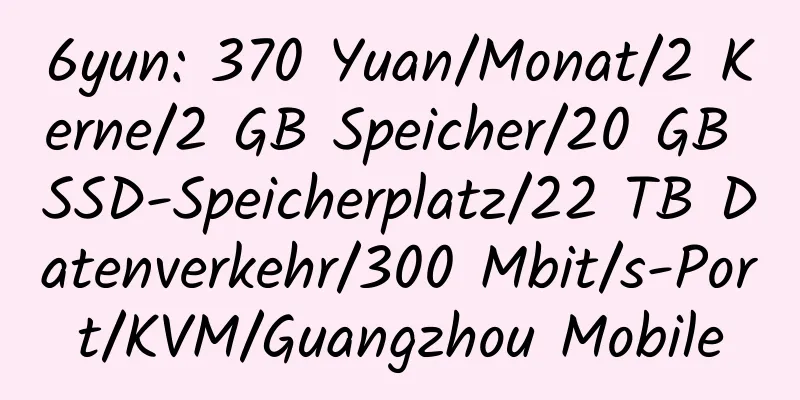 6yun: 370 Yuan/Monat/2 Kerne/2 GB Speicher/20 GB SSD-Speicherplatz/22 TB Datenverkehr/300 Mbit/s-Port/KVM/Guangzhou Mobile