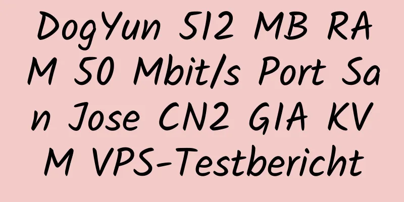 DogYun 512 MB RAM 50 Mbit/s Port San Jose CN2 GIA KVM VPS-Testbericht