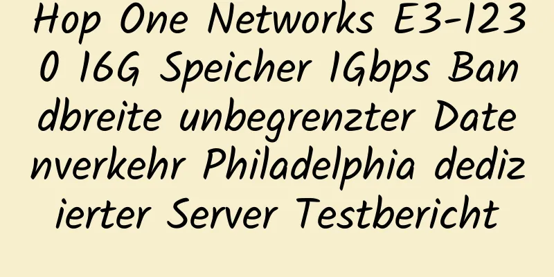 Hop One Networks E3-1230 16G Speicher 1Gbps Bandbreite unbegrenzter Datenverkehr Philadelphia dedizierter Server Testbericht