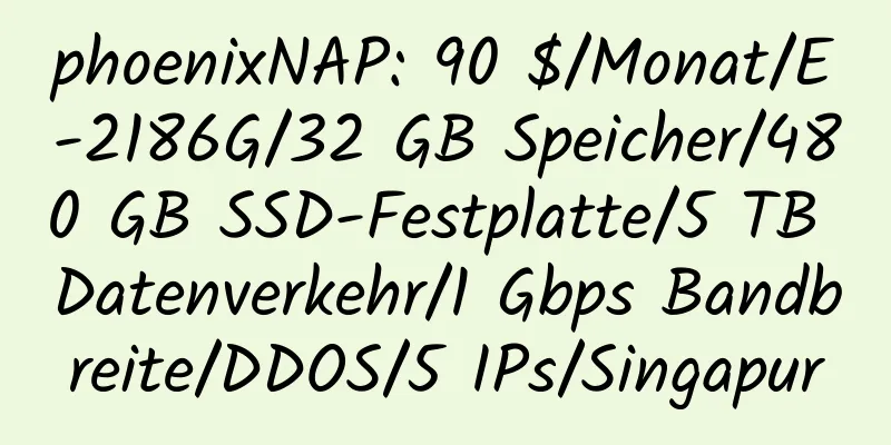 phoenixNAP: 90 $/Monat/E-2186G/32 GB Speicher/480 GB SSD-Festplatte/5 TB Datenverkehr/1 Gbps Bandbreite/DDOS/5 IPs/Singapur