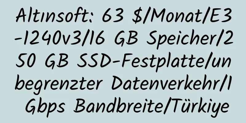 Altınsoft: 63 $/Monat/E3-1240v3/16 GB Speicher/250 GB SSD-Festplatte/unbegrenzter Datenverkehr/1 Gbps Bandbreite/Türkiye