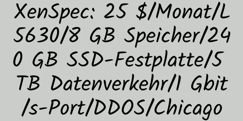 XenSpec: 25 $/Monat/L5630/8 GB Speicher/240 GB SSD-Festplatte/5 TB Datenverkehr/1 Gbit/s-Port/DDOS/Chicago