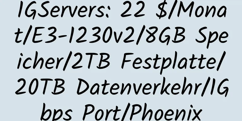 1GServers: 22 $/Monat/E3-1230v2/8GB Speicher/2TB Festplatte/20TB Datenverkehr/1Gbps Port/Phoenix