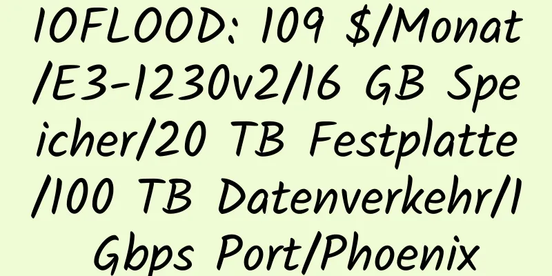 IOFLOOD: 109 $/Monat/E3-1230v2/16 GB Speicher/20 TB Festplatte/100 TB Datenverkehr/1 Gbps Port/Phoenix